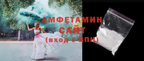 твердый Бородино