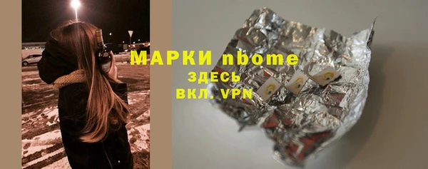 твердый Бородино