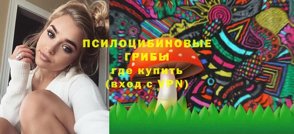 ГАЛЛЮЦИНОГЕННЫЕ ГРИБЫ Бронницы